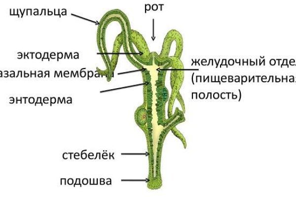 Омг сайт даркнет